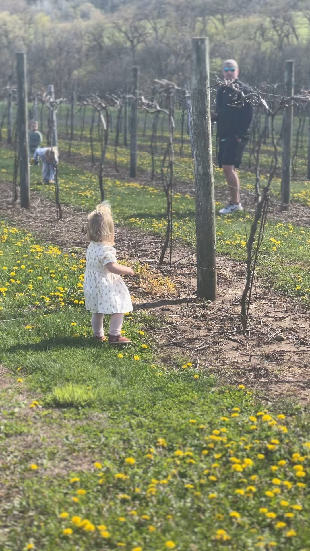 Found your daughters next special occasion dress at Janie and Jack ON SALE!

#LTKKids #LTKBaby #LTKFindsUnder100