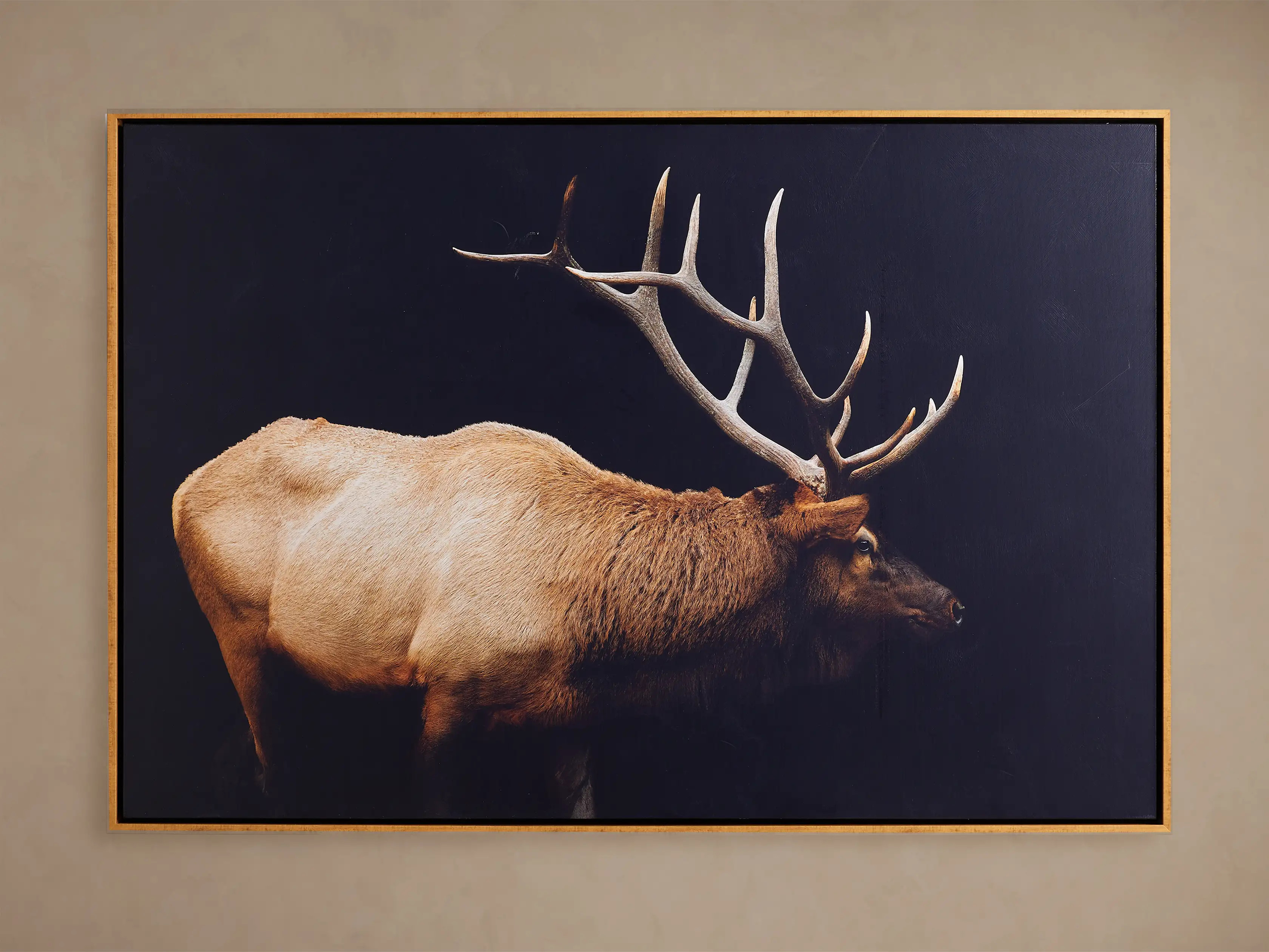Caribou Framed Print | Arhaus
