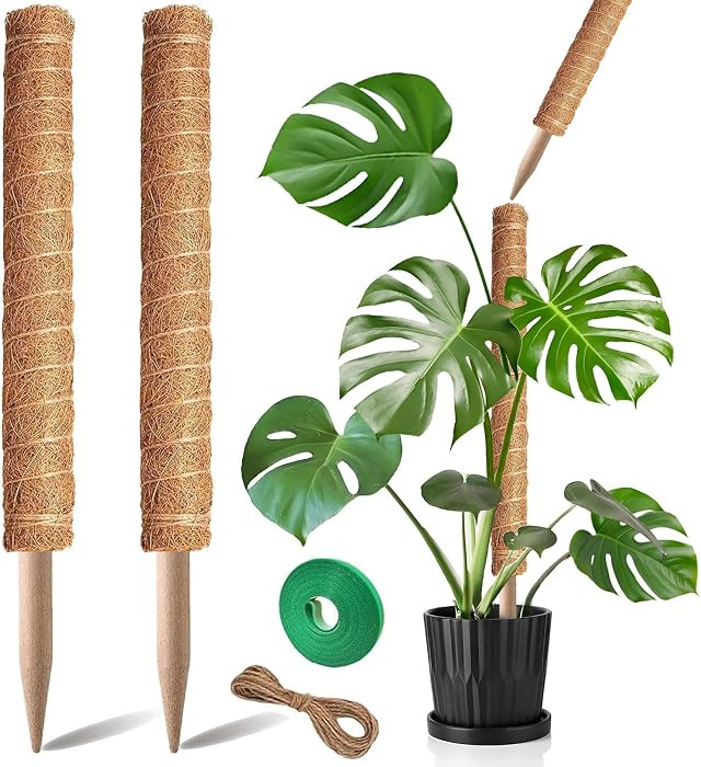 Moss Pole, 2Pack 21 Inch Plant Support Stakes for Indoor Plants, Monstera Plant Support Stakes, 3... | Amazon (US)
