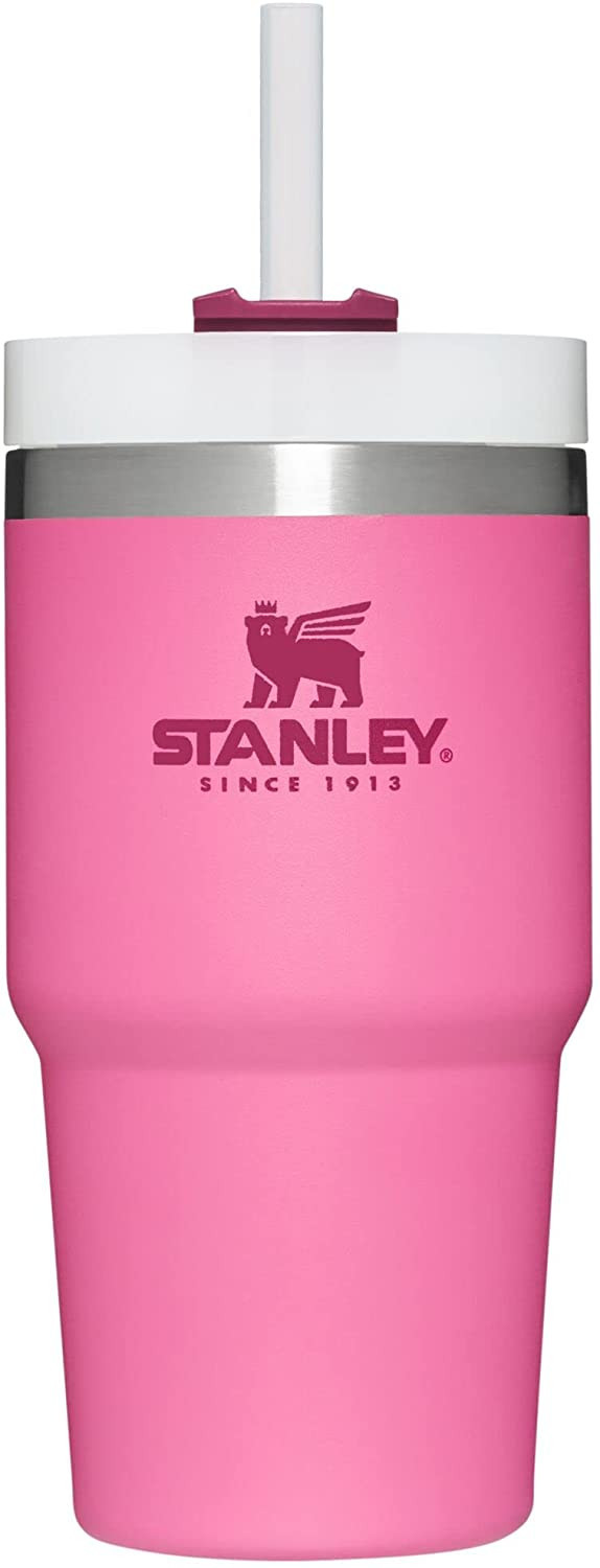 Stanley Adventure Quencher Travel Tumbler 20oz Azalea | Amazon (US)