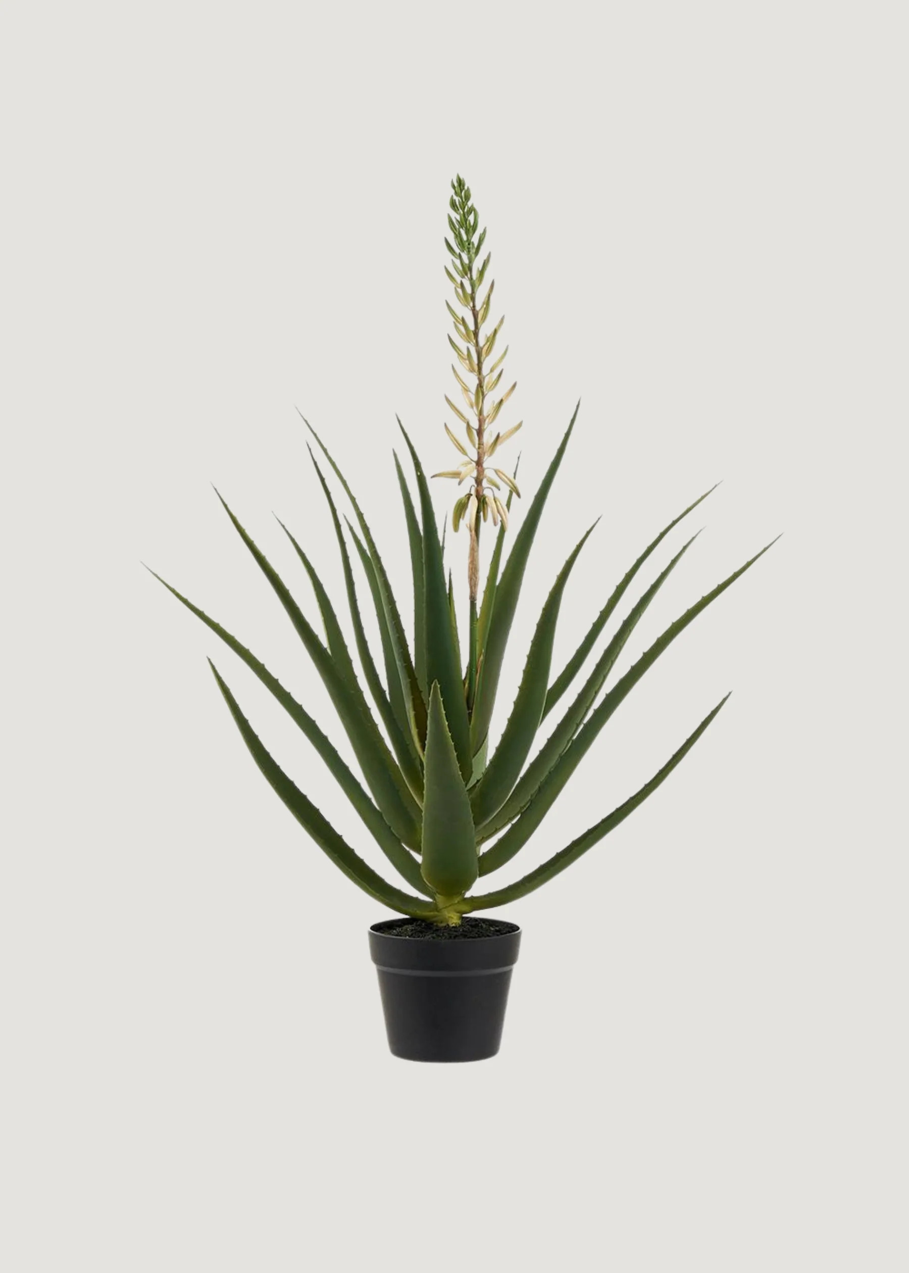 Artificial Blooming Agave Cactus Potted Plant - 36" | Afloral