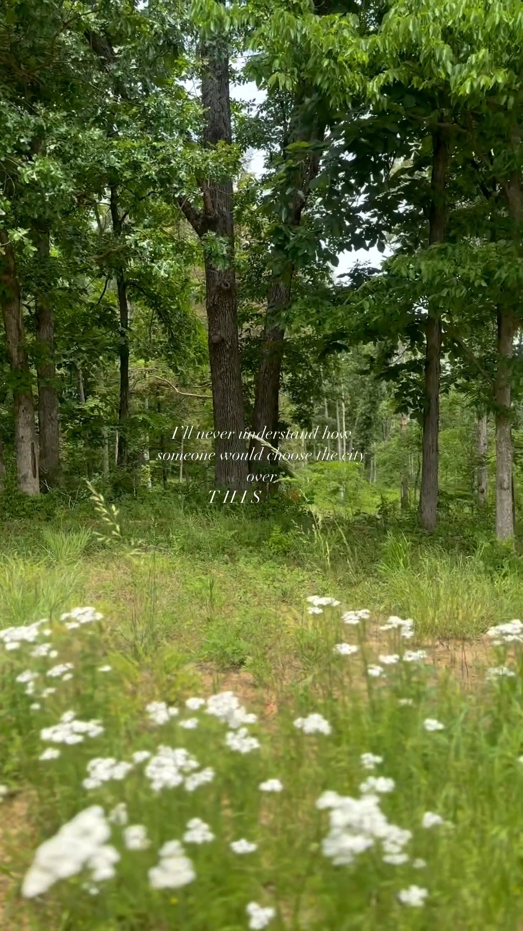 🏡🌾🤍🐴

#LTKHome