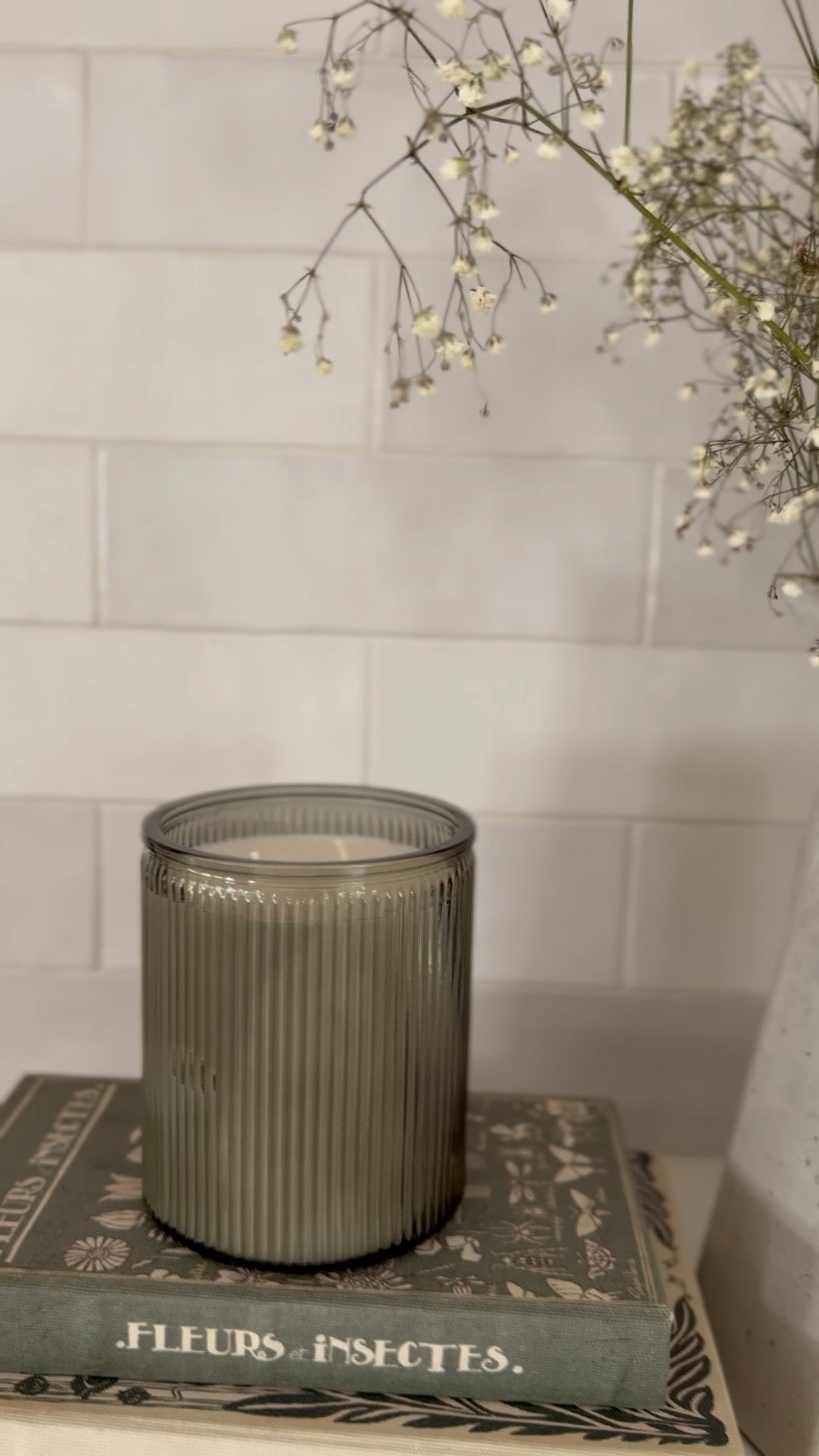 the perfect summer candle 🕯️🤌🏼 and only $5! Comes in two different scents

#LTKSummerEdit #LTKSeasonal #LTKHome