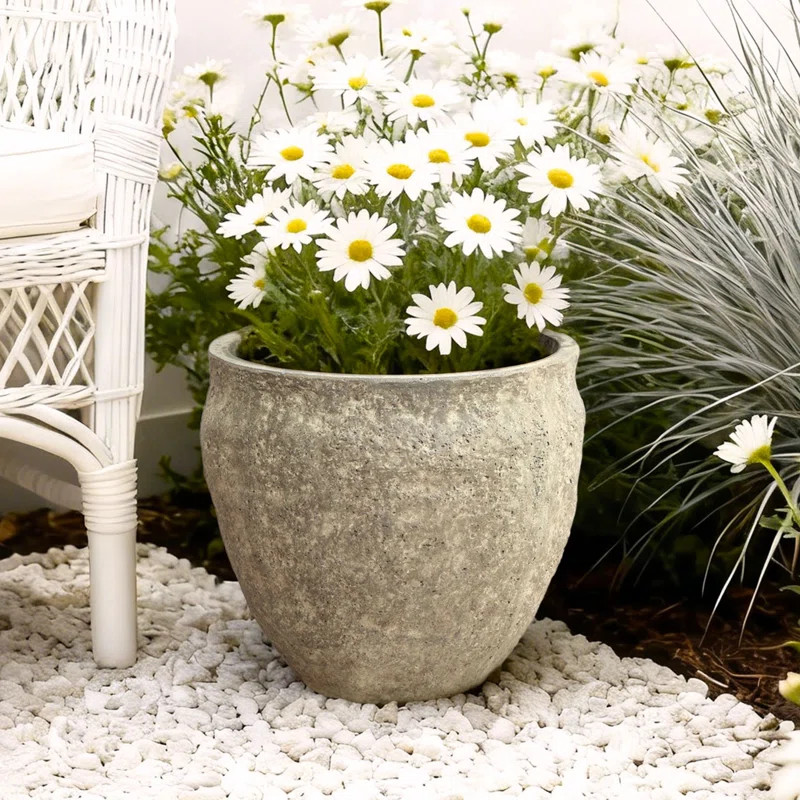 Weathered Stone Finish Round Planter, 12.4" Round, Textured Concrete-Style Pot | Wayfair North America