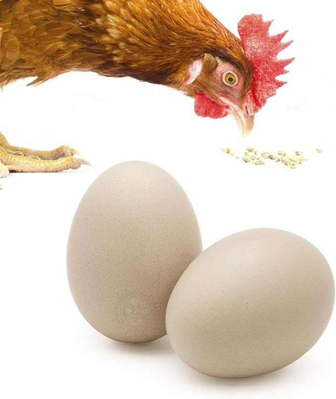 SunGrow Ceramic Chicken Eggs, 2.75 Inches, Encourages Egg Laying and Discourages Pecking and Eati... | Amazon (US)