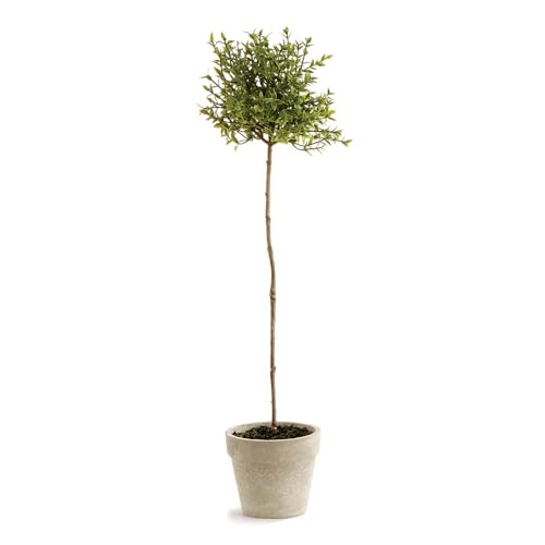 Napa Home & Garden Thyme Topiary 16" | Amazon (US)