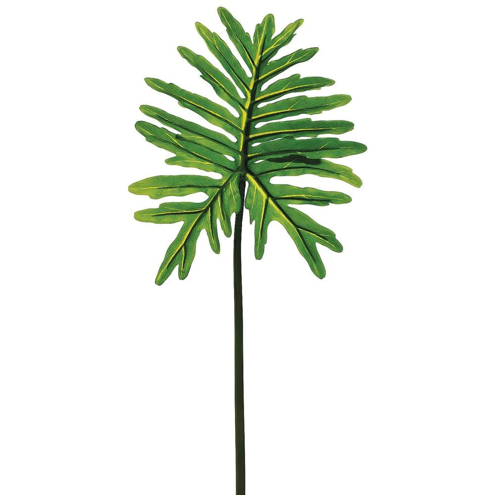 Selloum Philodendron Leaf | Megan Molten