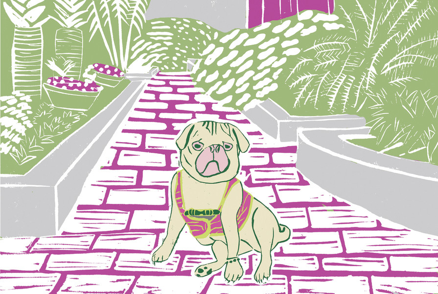 Dressed Dog in Purple | Artfully Walls