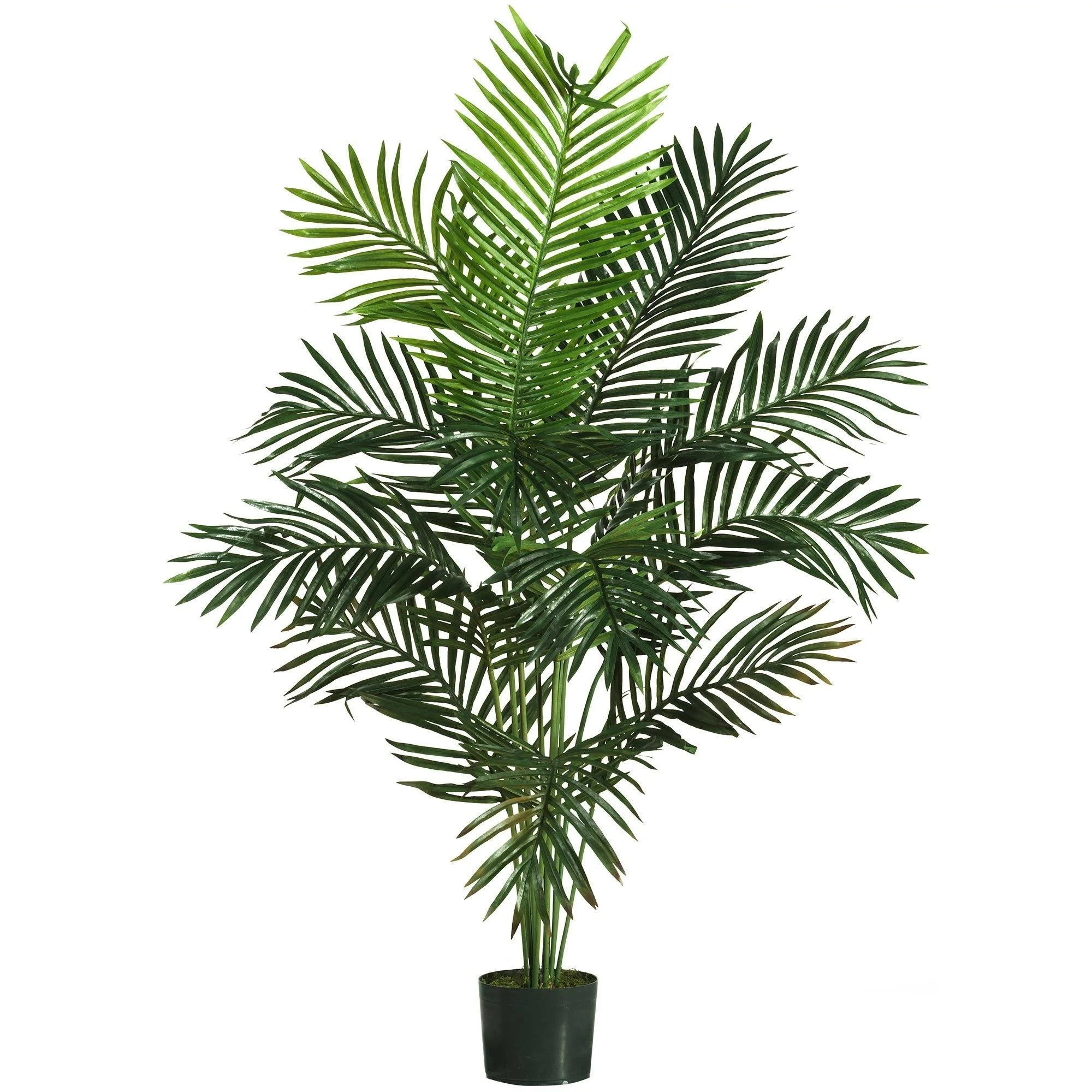 5' Paradise Palm | Nearly Natural