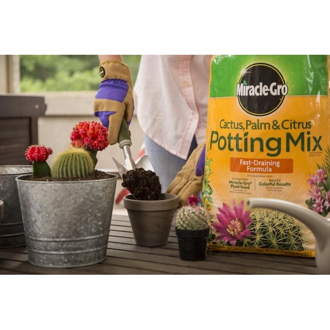 Miracle-Gro 8-Quart Potting Soil Mix Lowes.com | Lowe's