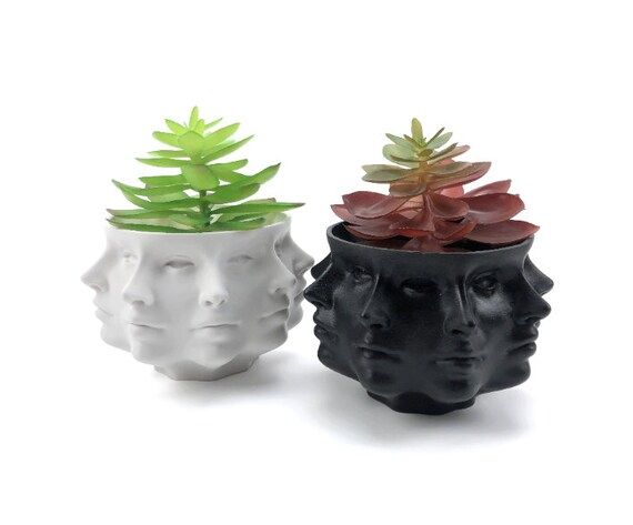 Multi-Face Succulent Planter Vase Small Face Planter Head Face | Etsy | Etsy (US)