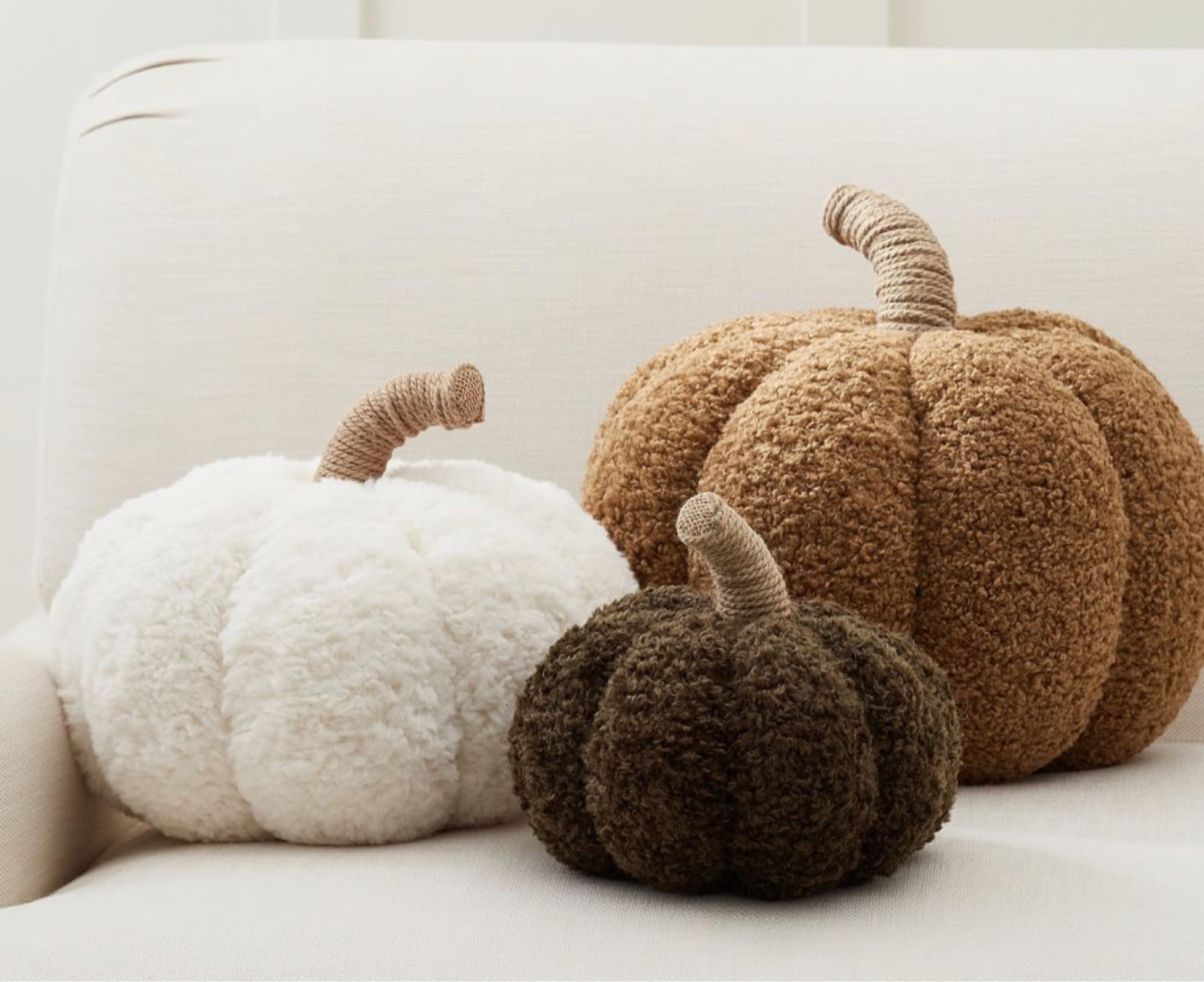 Fall & Halloween hole decor new arrivals 

#LTKFind #LTKhome #LTKSeasonal