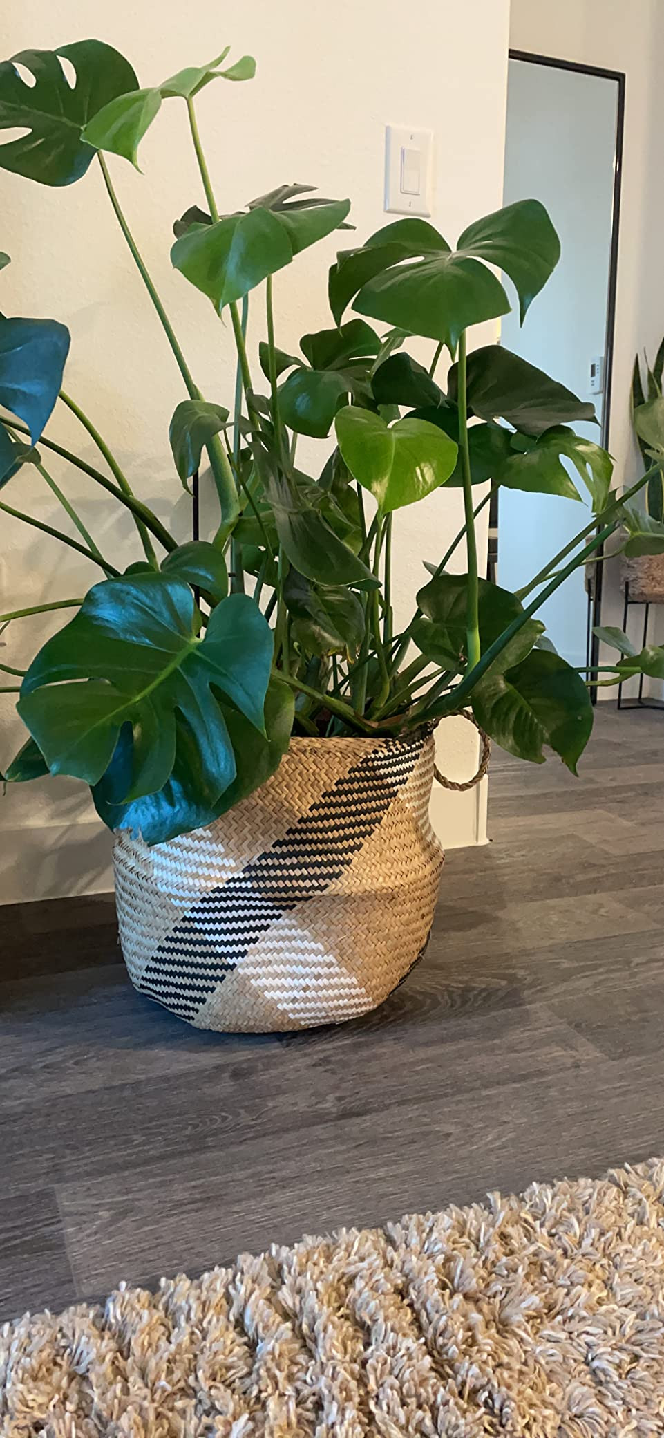 Natural Craft Extra Large Size(16x16x15 inches) Seagrass Belly Basket for Storage, Laundry, Picni... | Amazon (US)