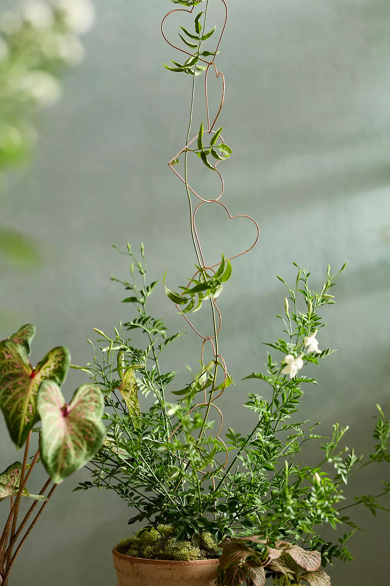 Heart Chain Copper Garland Trellis | Anthropologie (US)