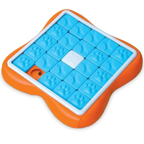 Outward Hound by Nina Ottosson Challenge Slider – Interactive Dog Treat Puzzle Enrichment Toy, Level 3 Advanced | Amazon (US)