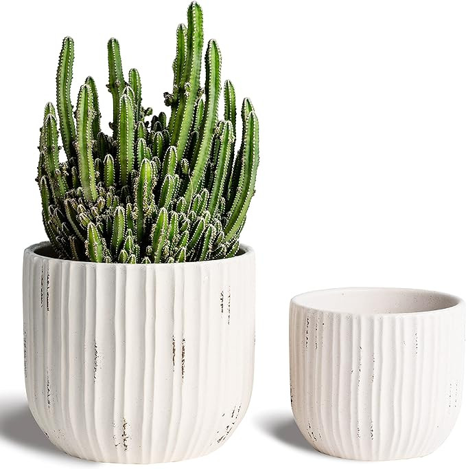 YBX White Plant Pots 8 Inch+6 inch, Ceramic Planter with Drainage Holes, Flower Pots for Indoor P... | Amazon (US)