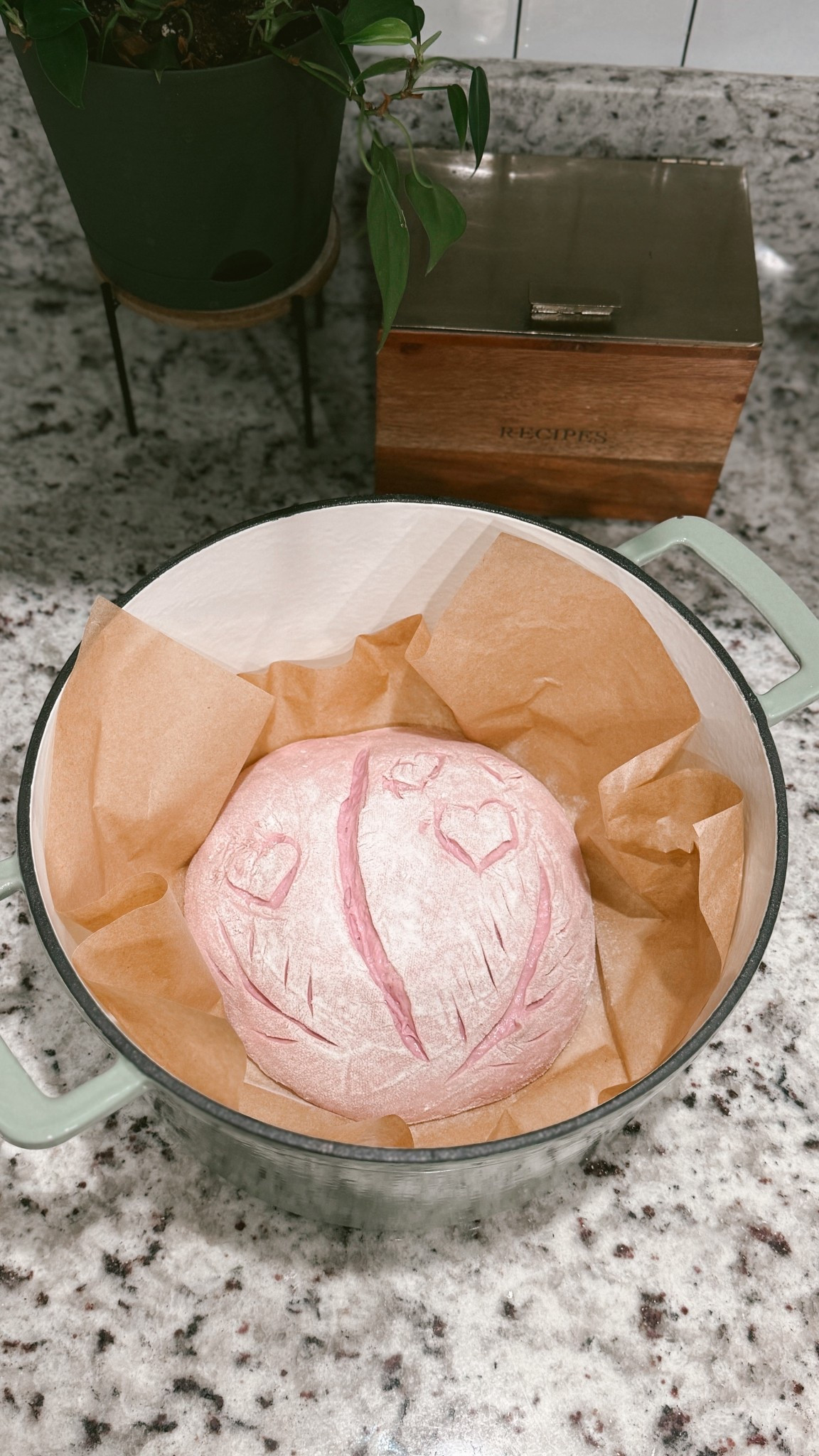 Dutch Oven

#LTKfoodie