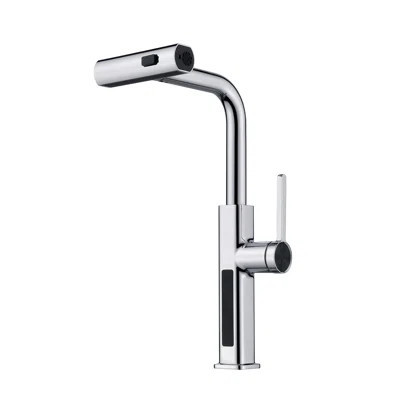 Single Handle Kitchen Faucet with Accessories | Wayfair North America