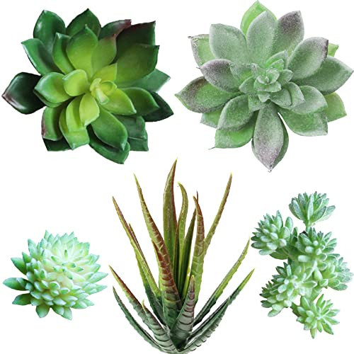 Supla 5 Pcs Assorted Artificial Succulents Plants Unpotted Small Green Cactus Echeveria Picks Fake Succulents Bulk for Succulent Garden Centerpiece Wreath Floral Arrangement Indoor Outdoor Home Décor | Amazon (US)