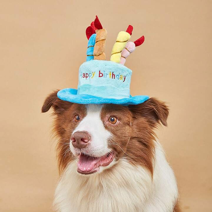 1pc Pet Birthday Cake Hat For Cats And Dogs, Inner Diameter 9cm/ Strap Length 9-30cm | SHEIN