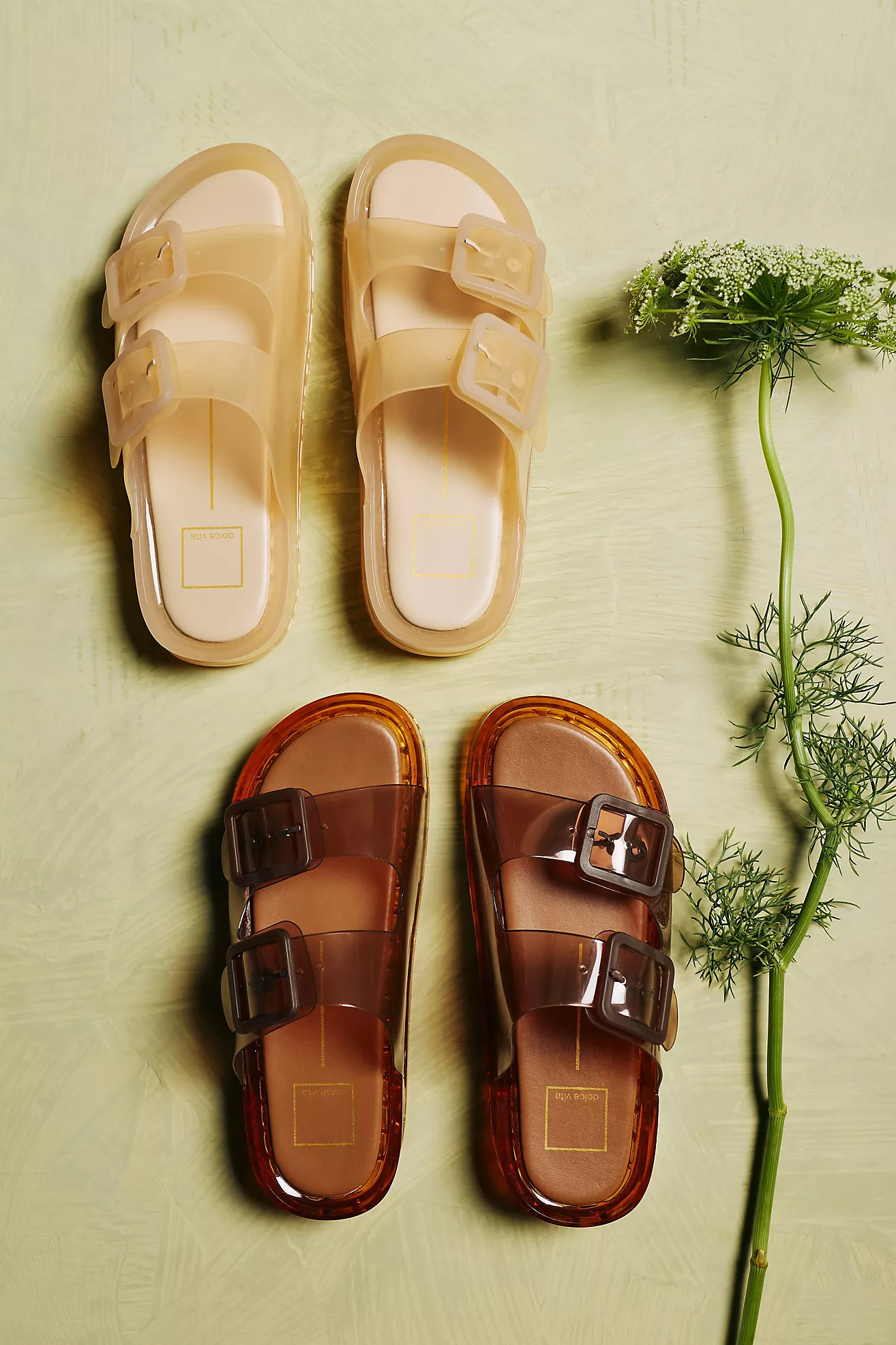 Dolce Vita Julio Jelly Sandals | Anthropologie (US)