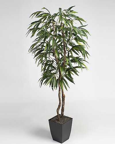 D&W Silks, Inc 6Ft Weeping Ficus Tree in Square Metal Planter | Gilt