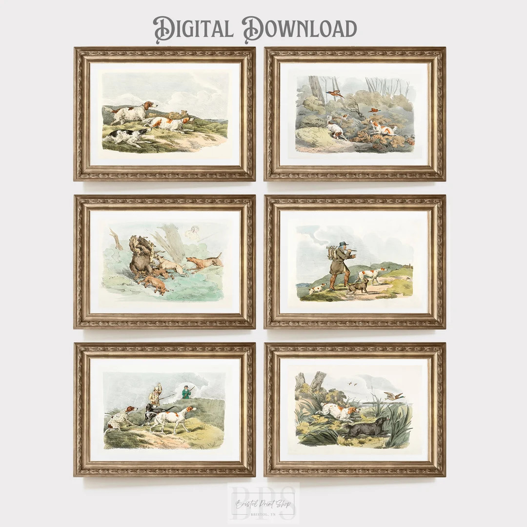 Vintage Hunting Dog Art | Gallery Wall | Set of 6 | Book Illustrations | Antique Setter Wall Art ... | Etsy (US)