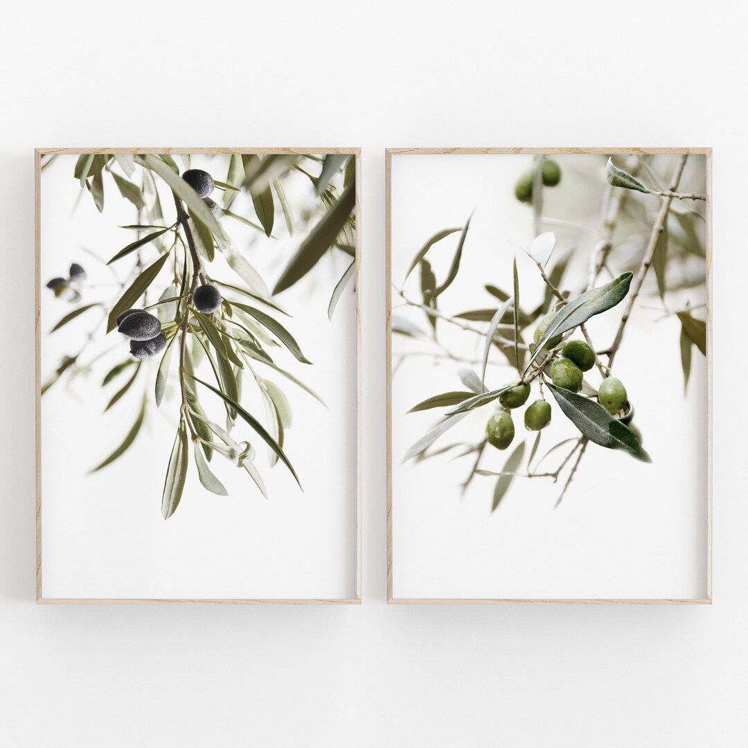 Botanical Print Set of 2 Olive Branch Art INSTANT DOWNLOAD - Etsy | Etsy (US)