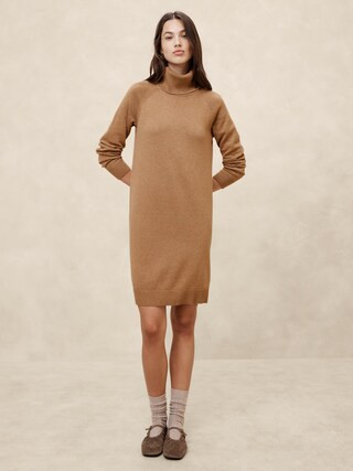 Turtle-Neck Sweater Dress | Banana Republic Factory | Banana Republic Factory
