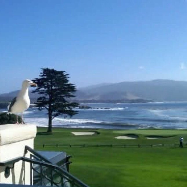 Masters 
Week
Is
HERE

#LTKTravel #LTKdayinmylife #LTKMens