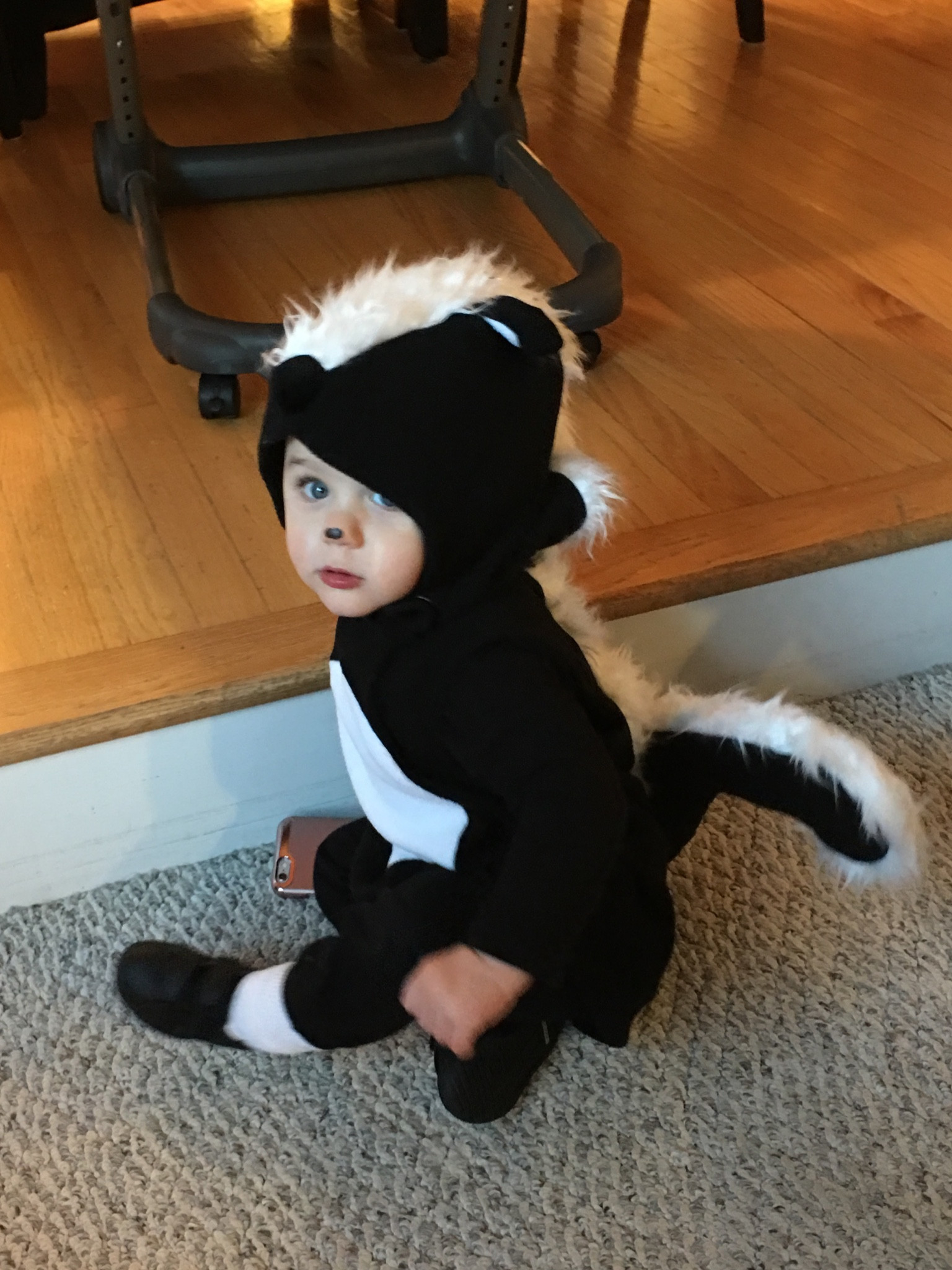 Pottery barn kids skunk costume 


#LTKHalloween
