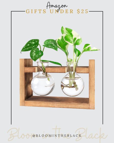 Amazon gift under $25, propagation station, plant lover

#LTKHoliday #LTKhome #LTKGiftGuide
