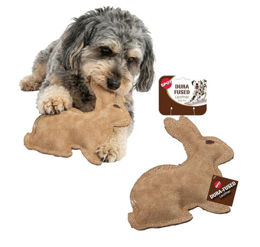 Amazon Dog Easter 🐶🌷

#LTKmomlife #LTKOver40 #LTKSeasonal