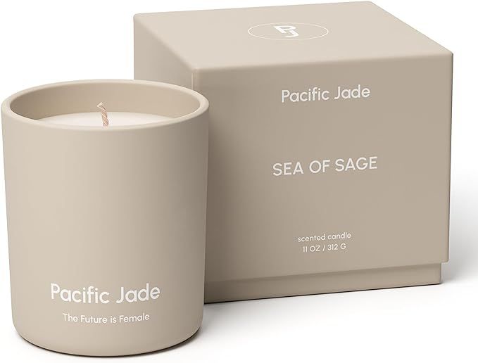 Hand Poured 100% Natural Soy Candle 11oz - Luxury Fragrance in Matte Glass for Home or Gift - Pre... | Amazon (US)