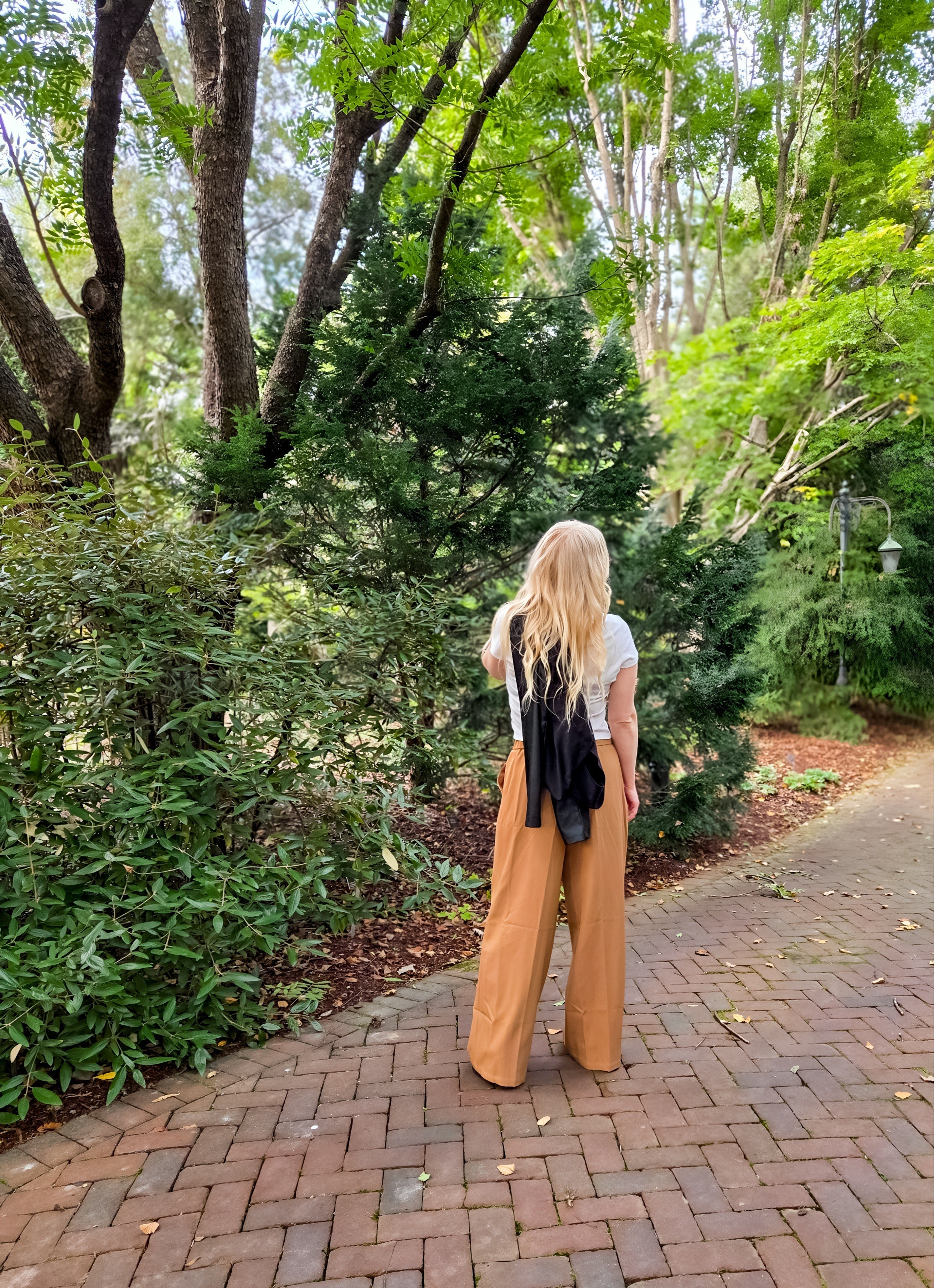 These wide leg dress pants in the color camel are absolutely perfect for Fall! Wear them to work or out for a date night.🤎

#LTKFindsUnder50 #LTKWorkwear #LTKStyleTip