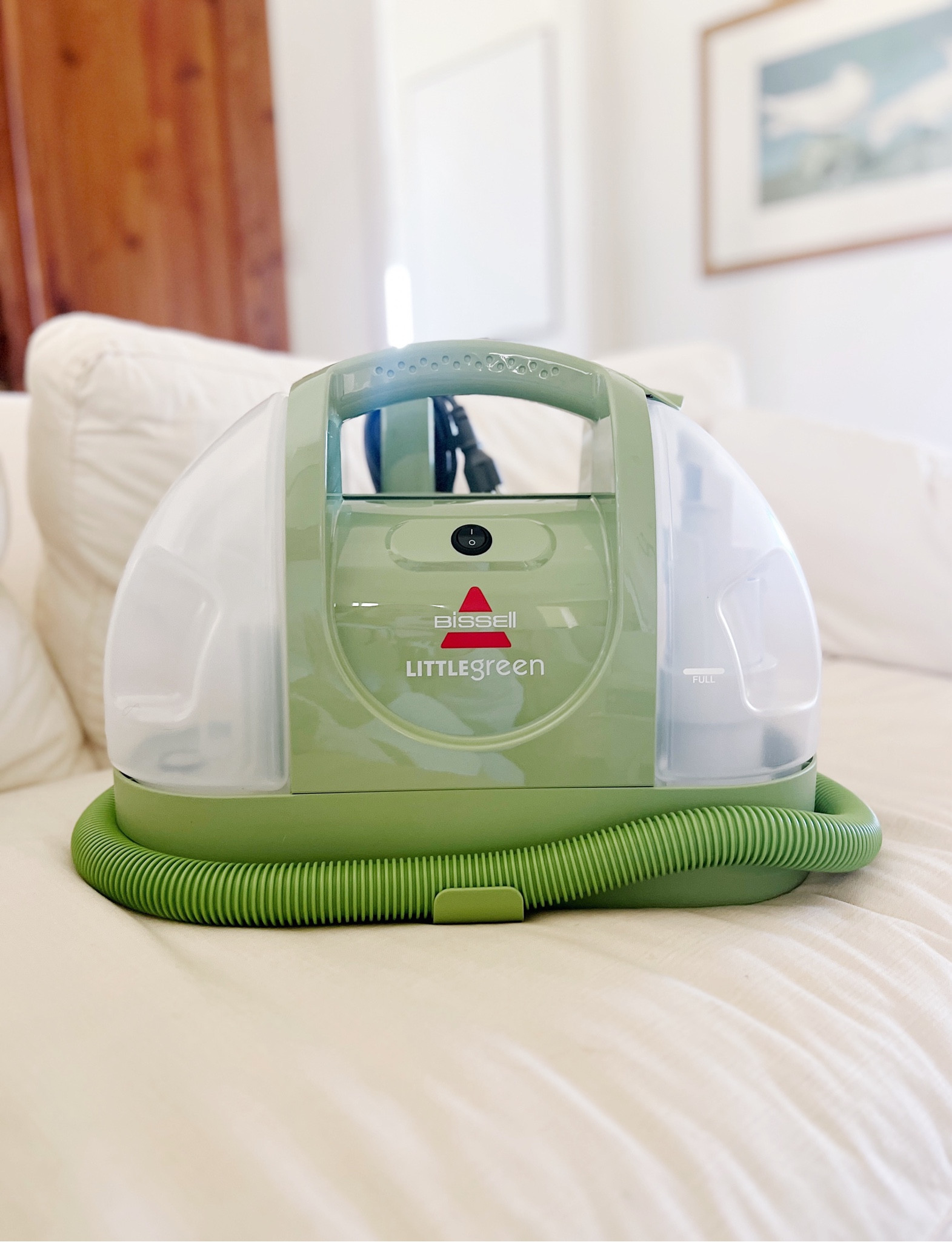 Why are you so cute?!

Bissell Little Green 🫧




#LTKhome