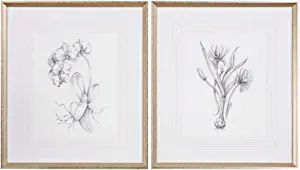 Uttermost Botanical Sketches 2-Piece 32" High Framed Wall Art Set | Amazon (US)