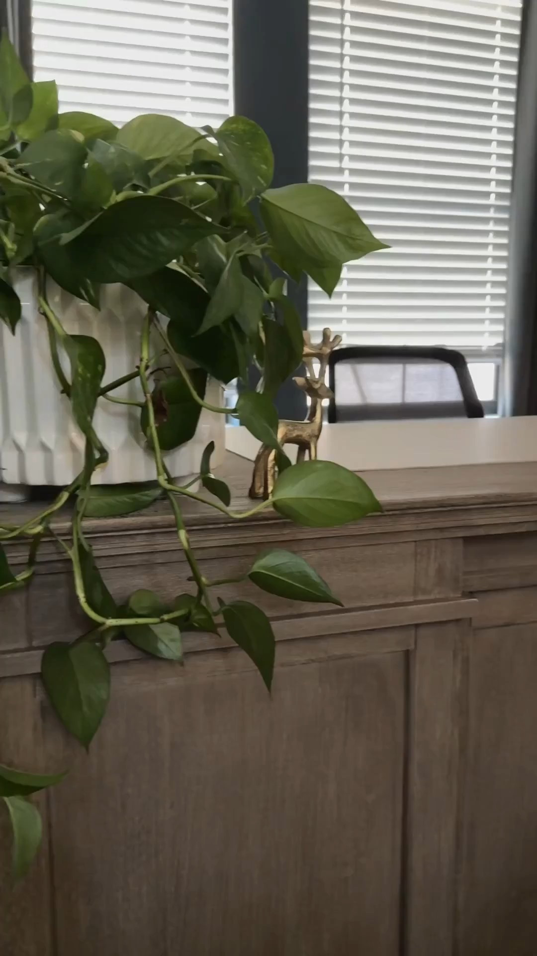 Cozying up the office one sparkle at a time ✨🎄 Turning my workday into a little golden Christmas moment ❣️ because productivity hits different when the space feels magical ✨💻🎅🏼 #OfficeChristmasDecor #CozyWinterVibes #FestiveFeels #WinterDecorMagic 

#LTKHoliday #LTKHome #LTKSeasonal #LTKHoliday #LTKHome