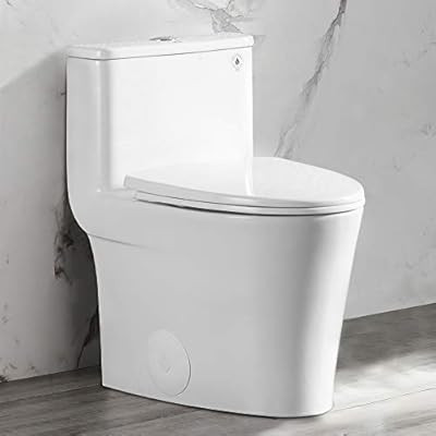 DeerValley DV-1F52807 White Small Elongated One Piece Toilet Modern High Efficiency Single Flush ... | Amazon (US)