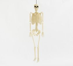 Lit Mr. Bones | Pottery Barn (US)