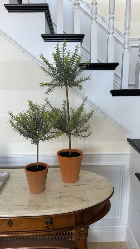 Realistic rosemary topiaries- these come in two sizes with terracotta pots! 

#LTKfindsunder100 #LTKhome #LTKSeasonal