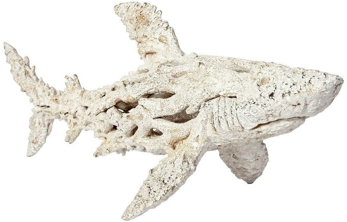 Nautical Ocean Decor Coral Reef Shark Beach Home Decor Coral Look Polystone Tabletop Collection (... | Amazon (US)