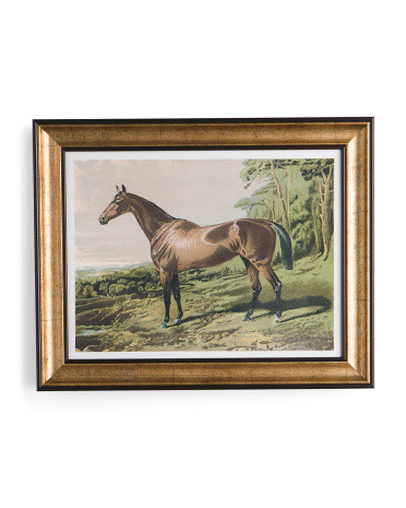 16x20 Flushed Brown Horse Framed Wall Art | Home | Marshalls | Marshalls