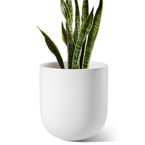 LE TAUCI 10 Inch Plant Pot, Ceramic Pots for Plants with Drainage Hole and Rubber Plug, Plant Pots Indoor for Olive Tree, Cylinder Planter Pot for Home Patio Office, White | Amazon (US)