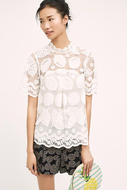 Lily Lace Blouse | Anthropologie (US)