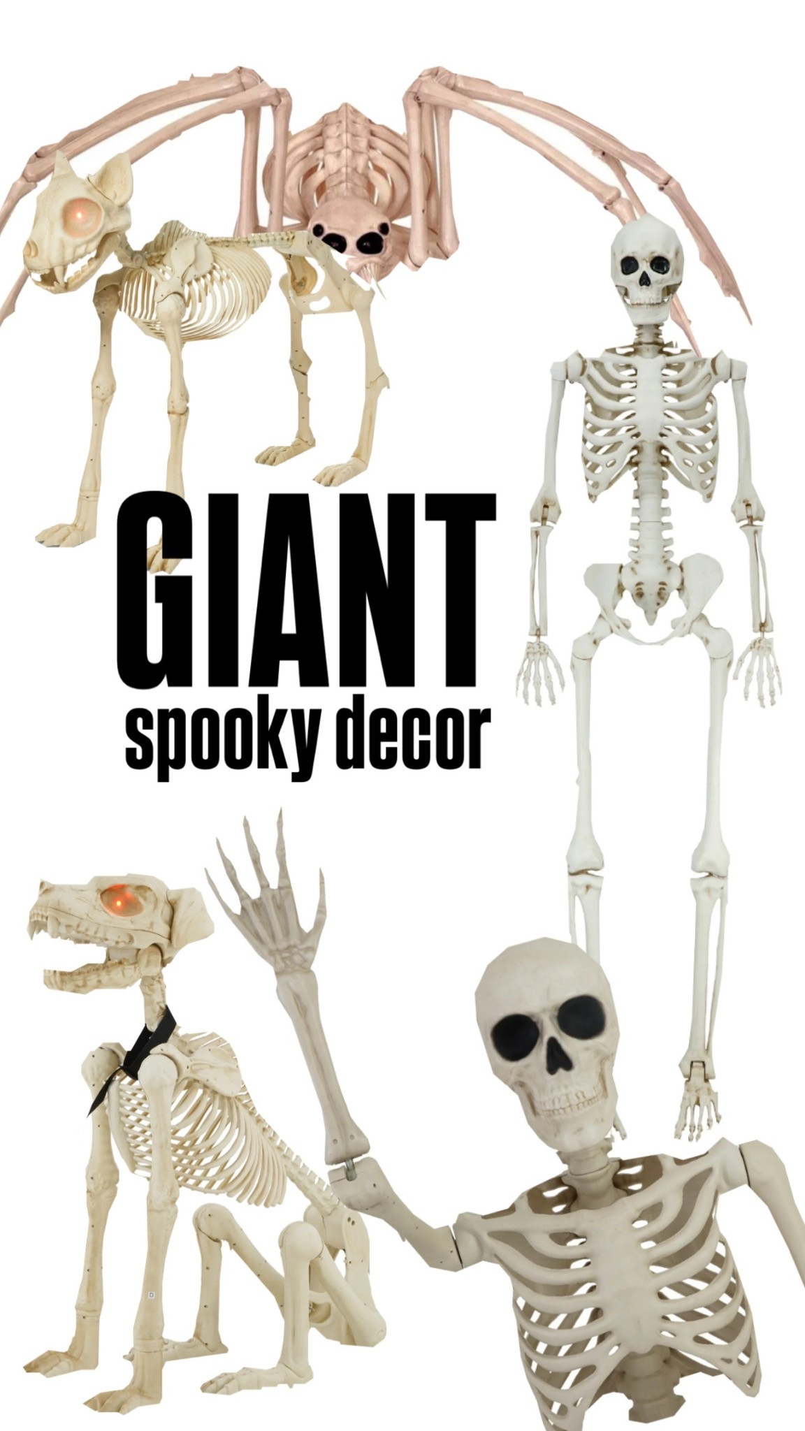 NEW spooky decor you do not want to miss out on!!! And at these prices?!! Give me all of it😍