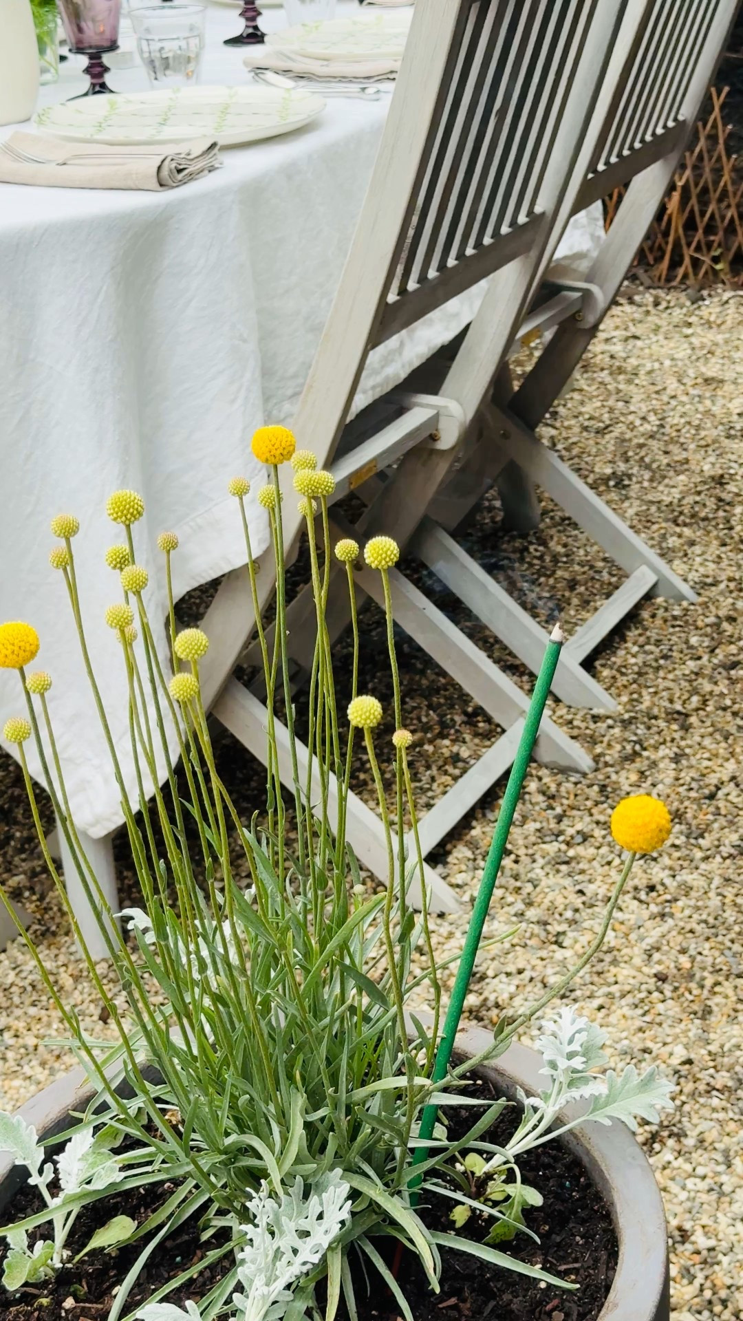 These citronella sticks help keep the bugs at bay while gardening, dining outdoors or take them to the beach! 

#LTKHome #LTKGiftGuide #LTKSeasonal