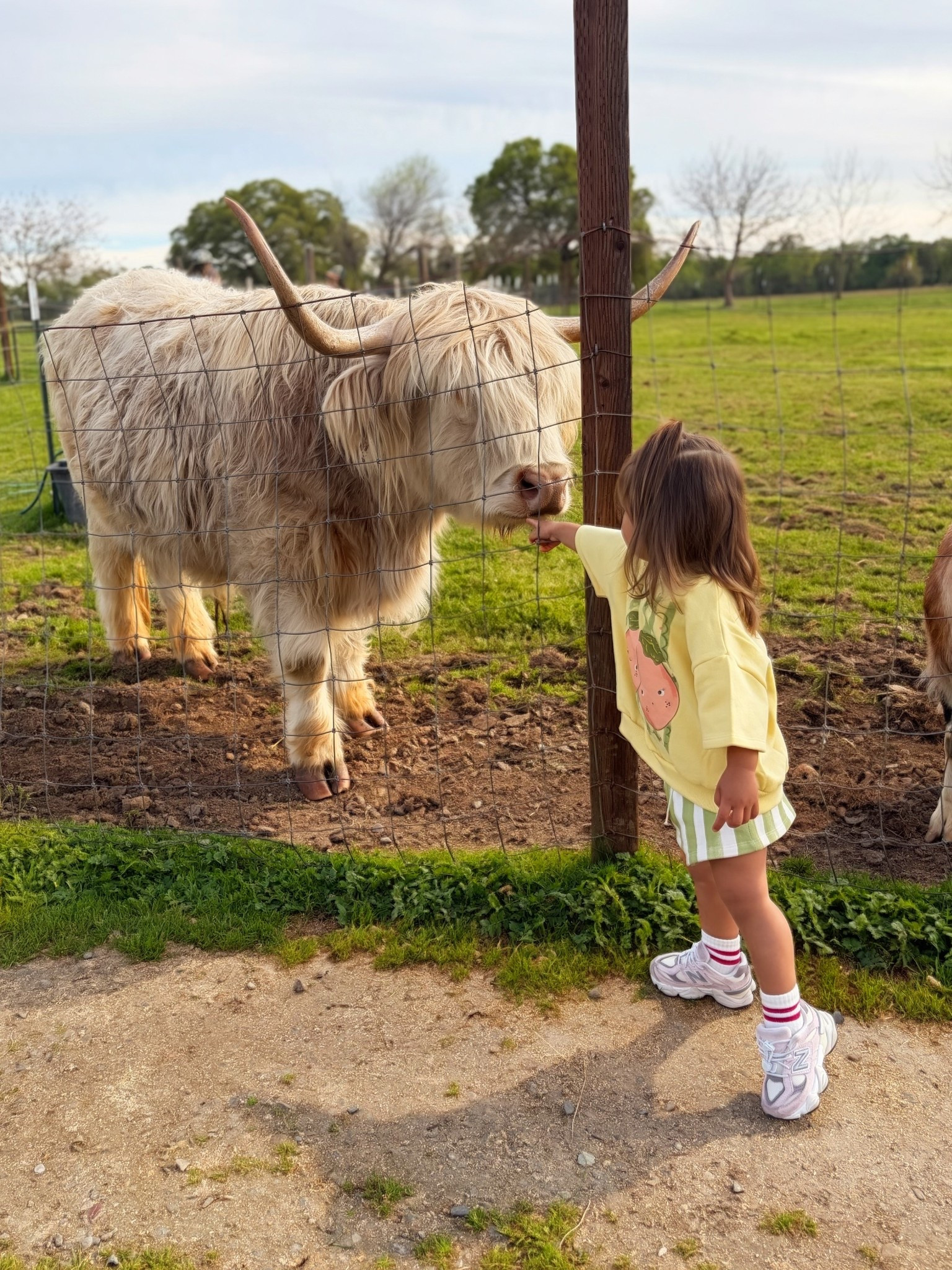 Toddler girl matching set
Toddler girl outfit
Toddler girl sneakers
Spring outfit



#LTKSeasonal #LTKootd #LTKKids