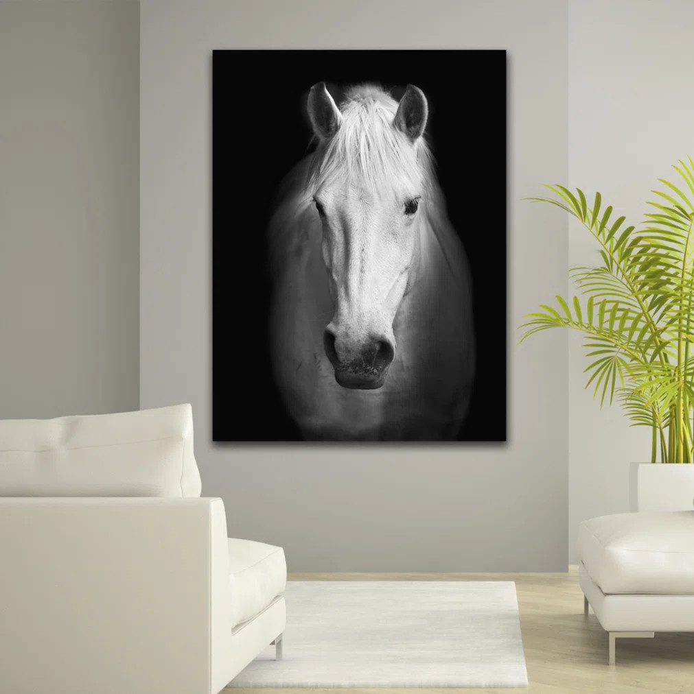 White Horse Face - Wrapped Canvas Photograph Print | Wayfair North America