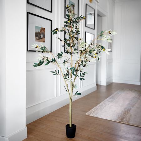 Olive trees are some of my favorite to style in my home!!


Home decor, faux tree, olive tree, modern Home

#LTKSeasonal #LTKHome #LTKStyleTip